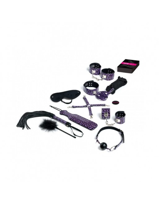 Master & Slave Premium Violet – Kit BDSM de Tease and Please | Dressing Libertin