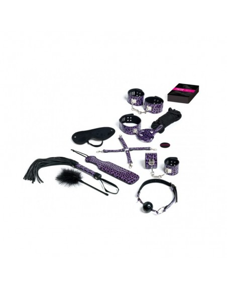 Master & Slave Premium Violet – Kit BDSM de Tease and Please | Dressing Libertin