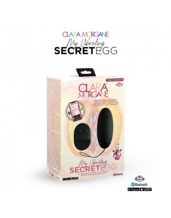 My vibrating secret egg - Noir/ Dressing Libertin