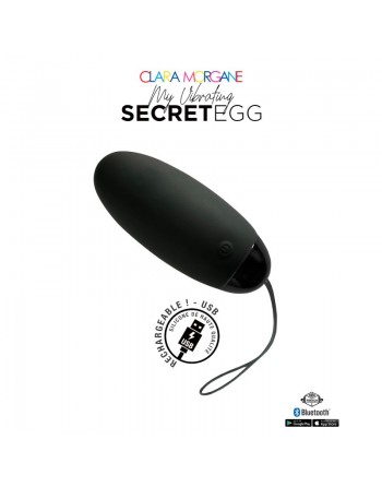 My vibrating secret egg - Noir/ Dressing Libertin